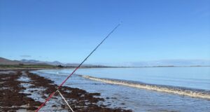 Irish Angling Update 3 October 2025