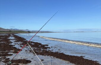 Irish Angling Update 3 October 2025