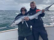 Sharks and plenty more in west Clare