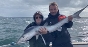 Sharks and plenty more in west Clare