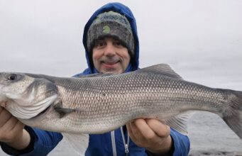 A few more bass in south east during bigger tides