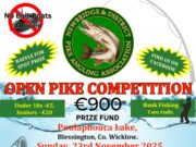 Newbridge District Pike Anglers – Annual Open Pike Fishing Competition This Weekend