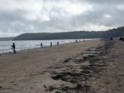Plenty of fish at Martin Halley Memorial Open