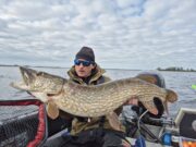 6-day pike challenge brings a 100cm+ fish every day for fishingireland.pl