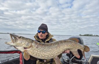 6-day pike challenge brings a 100cm+ fish every day for fishingireland.pl