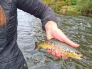 The River Whispers – Season 2