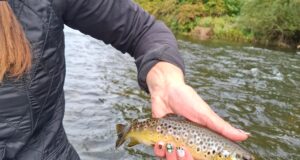 The River Whispers – Season 2