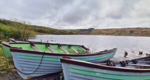 Ballinlough – a great fly fishing venue for trout anglers during October