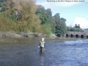 Young anglers on the Maigue already looking forward to next season Harry Ahern with pal James McDonagh behind