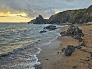 Irish Angling Updateπ£10 October 2025
