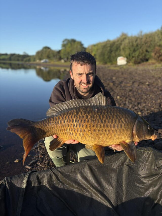 Lovely to see Austin Conway with another cracking rare wild Irish Inniscarra Carp off The Piggery