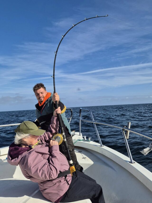 shark fishing