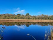 Munster Coarse Anglers fish first round of Winter League at Silvergrove