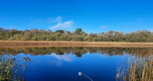 Munster Coarse Anglers fish first round of Winter League at Silvergrove