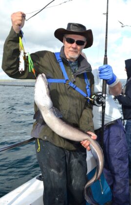 conger