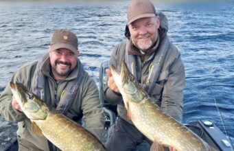 Seven 1m plus pike, good perch and trout for Klaus & Klaus from Austria in Boyle