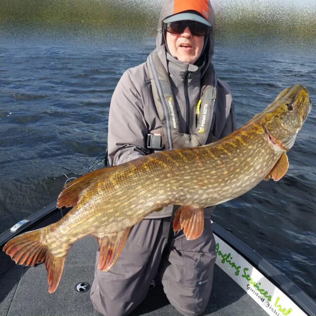 pike