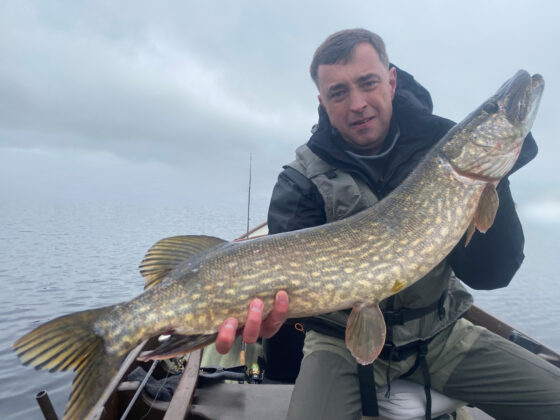 nice double for David Faughnan
