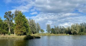 q lake
