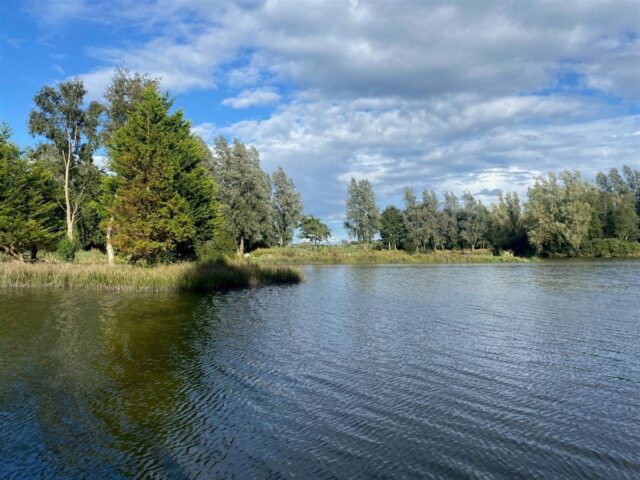 q lake