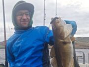 Killybegs Fishing Trips reporting solid mixed fishing despite strong easterly winds
