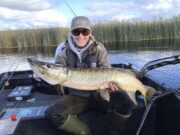 Good pike fly fishing in the Midlands