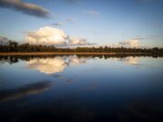 Irish Angling Update π£ 14th November 2025
