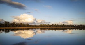 Irish Angling Update π£ 14th November 2025
