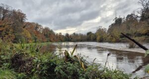 Irish Angling Update 🎣 28 November 2025