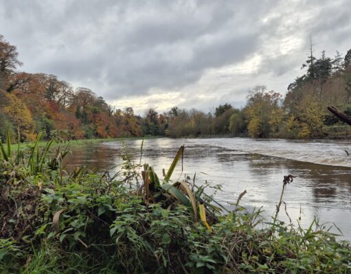 Irish Angling Update 🎣 28 November 2025