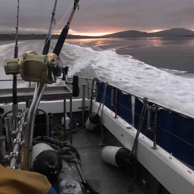 Kerry tuna fishing