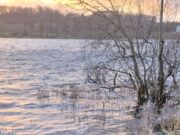 Alan Larkin wins 2nd round of CM Lakelands winter league