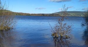 Super attendance for Newbridge District Pike Anglers Open Competition