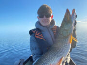 Pike to 112cms from Boyne Valley venues as temperatures drop
