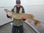 Lough Derg pike to over 100cm on a mix of lures and methods