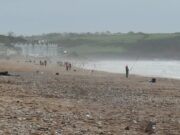 8 species on sandeel only at exciting West Cork and District match youghal beach
