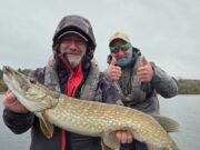 Trio from France enjoys excellent pike fishing in Boyle