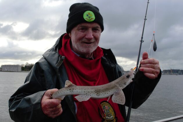 dogfish