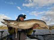 Majors, minors and news from L’Ile Verte
