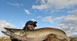 Majors, minors and news from L’Ile Verte