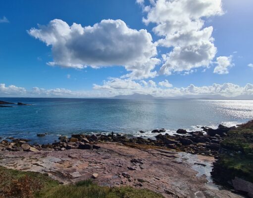 Irish Angling Update π£ 12 December 2025