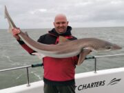 Fine tope the pick of the bunch for Wicklow Bay anglers