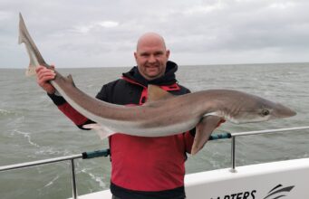 Fine tope the pick of the bunch for Wicklow Bay anglers