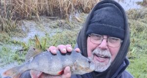 Munster Coarse Anglers fish cold match on Lower Shannon Kevin Leahy with a nice perch