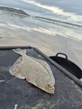 Longest flattie (outside the top 2 places) winner a 33cm flounder for Stefan Martin