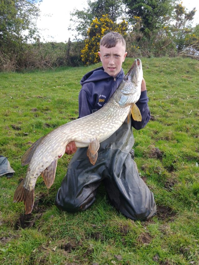 Ollie pike
