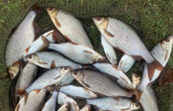 Dean Murray wins latest Athy match with 25lb 9oz coarse fish