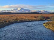 Irish Angling Update π£ 05 December 2025
