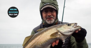 David Norman with a shore caught December pollack