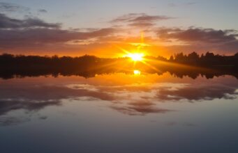 Irish Angling Update 16 January 2026